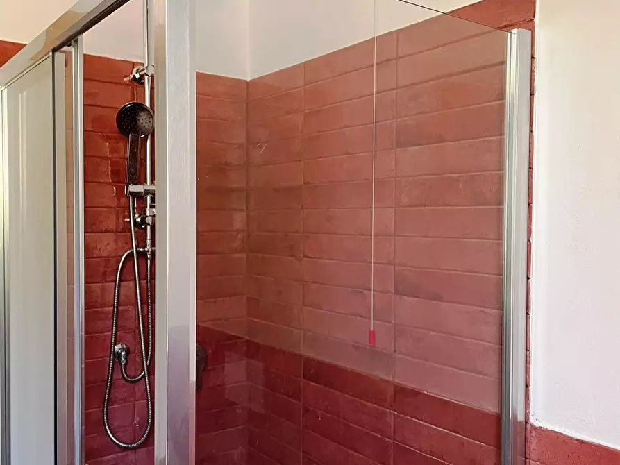 Immagine 29 di Azienda agricola in vendita  a San Miniato