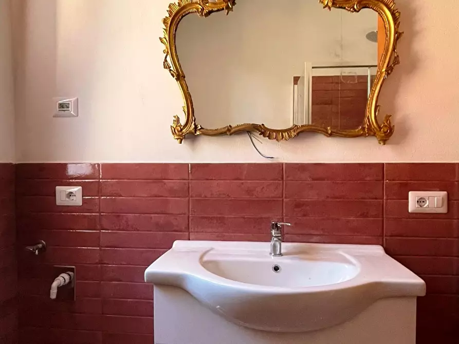 Immagine 30 di Azienda agricola in vendita  a San Miniato