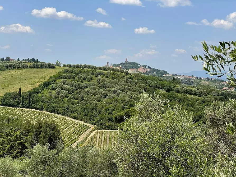 azienda agricola in vendita a San Miniato