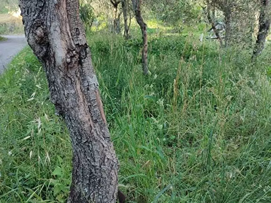 Immagine 26 di Terratetto in vendita  a Ortonovo