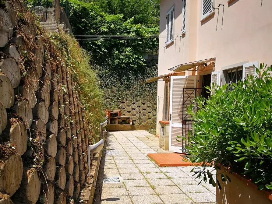 Immagine 25 di Appartamento in vendita  a Collesalvetti