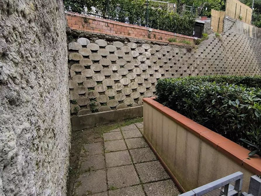 Immagine 17 di Appartamento in vendita  a Collesalvetti