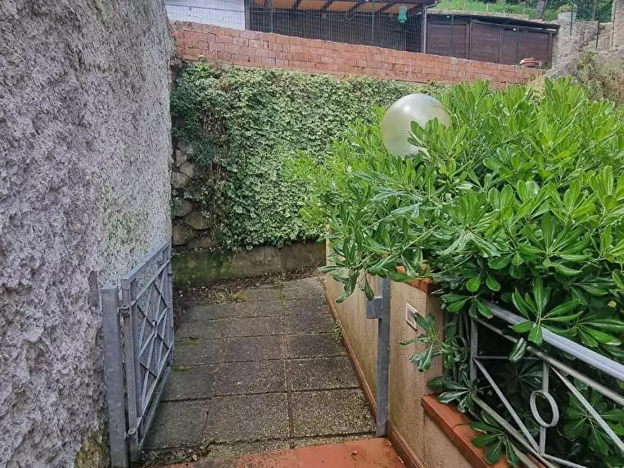 Immagine 17 di Appartamento in vendita  a Collesalvetti