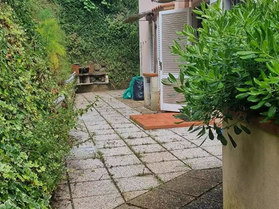 Immagine 16 di Appartamento in vendita  a Collesalvetti