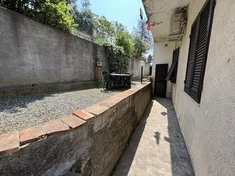 Immagine 19 di Appartamento in vendita  a Bibbona