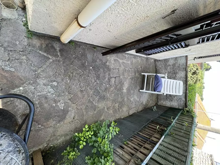 Immagine 20 di Appartamento in vendita  a Bibbona