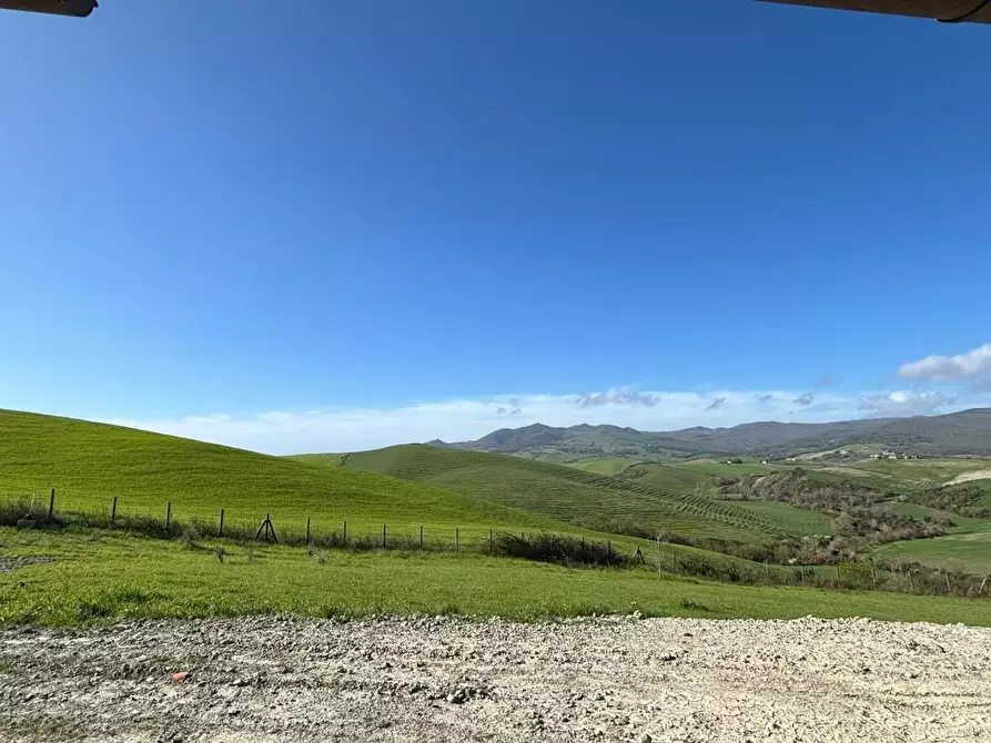 Immagine 7 di Villa in vendita  a Lajatico