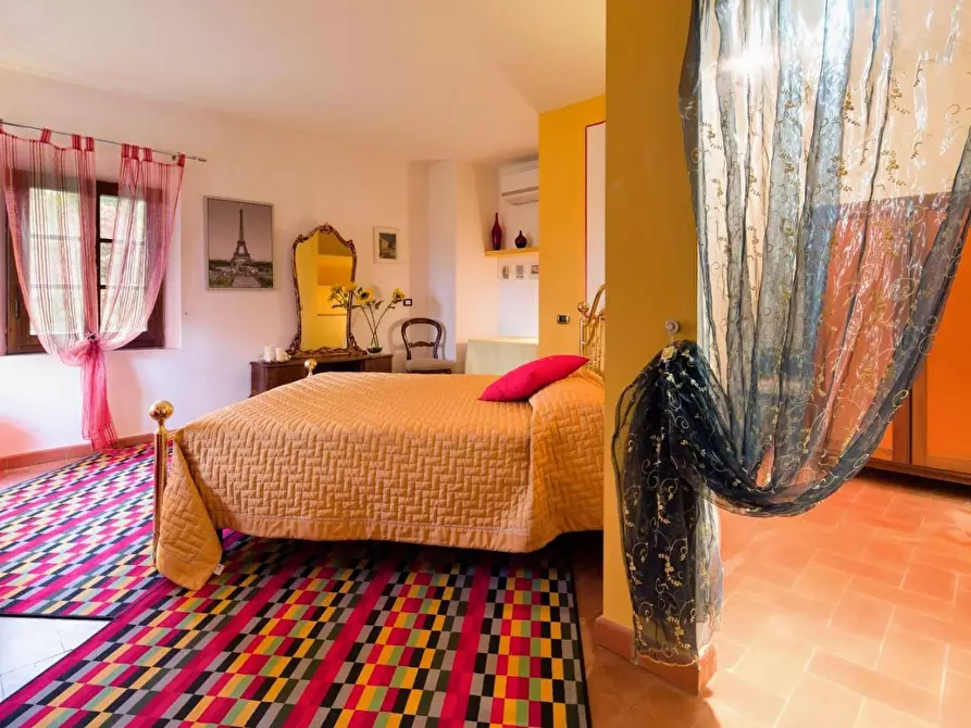 Immagine 40 di Casa colonica in vendita  a San Miniato