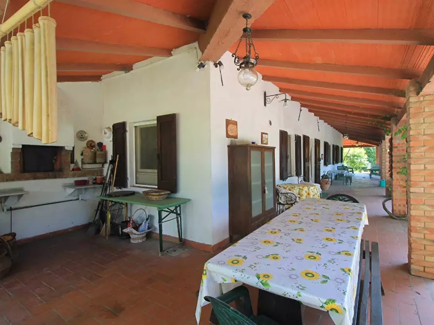 Immagine 20 di Casa colonica in vendita  a San Miniato