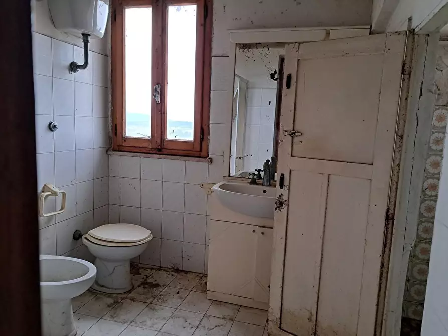 Immagine 11 di Appartamento in vendita  a Peccioli