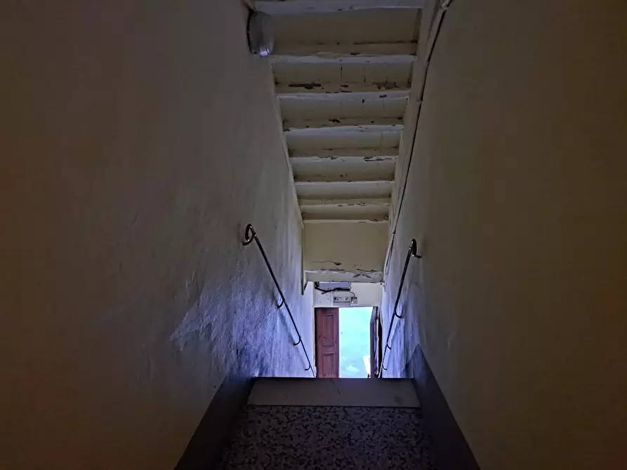 Immagine 9 di Appartamento in vendita  a Peccioli