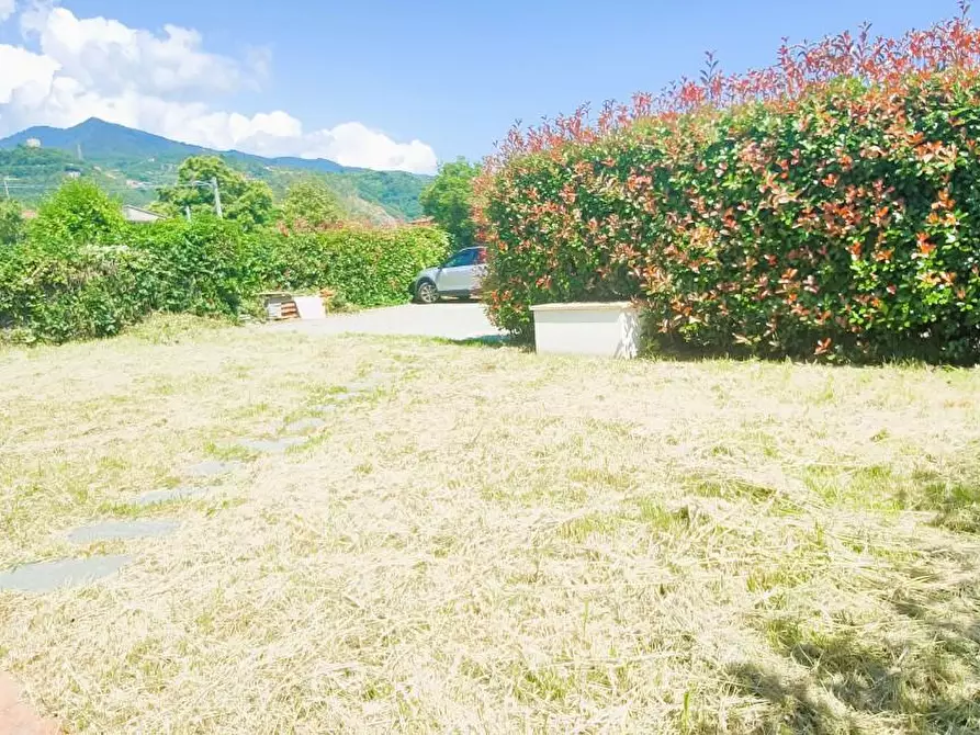 Immagine 3 di Casa bifamiliare in vendita  a Montignoso