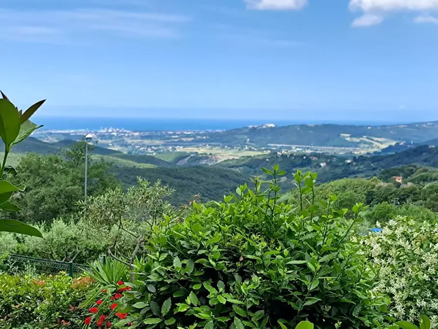 Immagine 20 di Appartamento in vendita  a Castellina Marittima