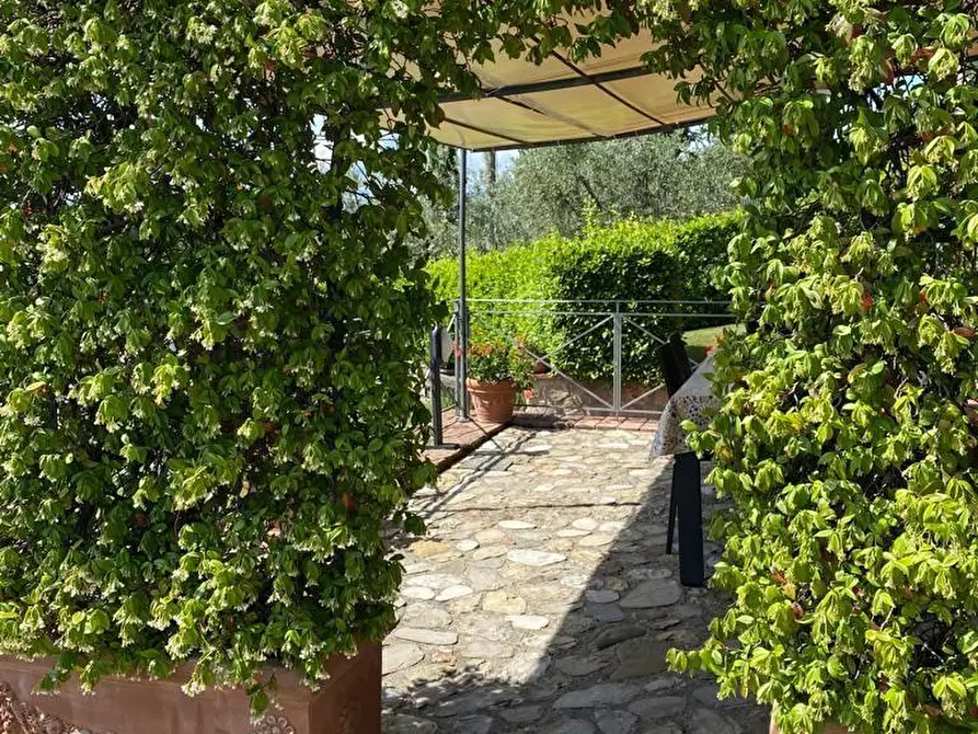 Immagine 30 di Casa colonica in vendita  a Vinci