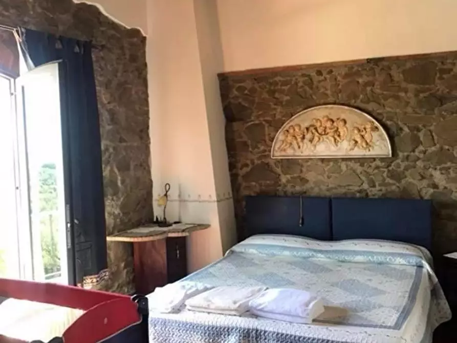 Immagine 21 di Casa colonica in vendita  a Vinci