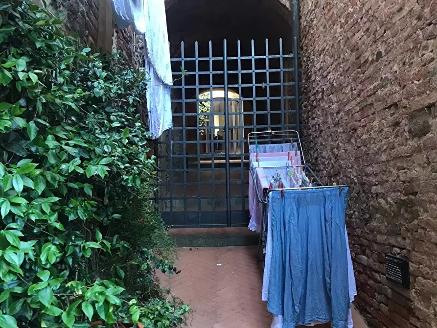 Immagine 33 di Appartamento in vendita  a Peccioli