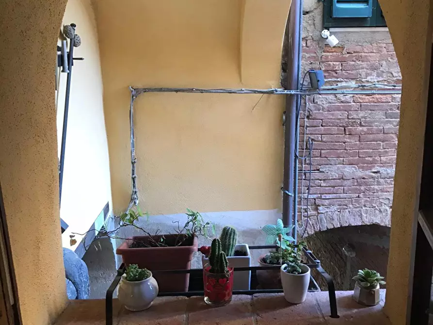 Immagine 34 di Appartamento in vendita  a Peccioli