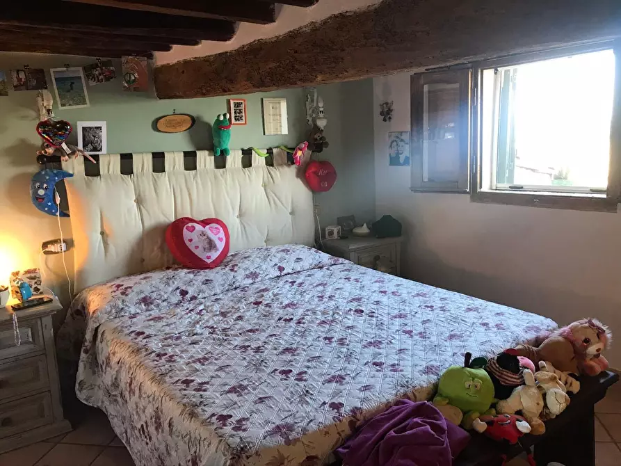 Immagine 24 di Appartamento in vendita  a Peccioli