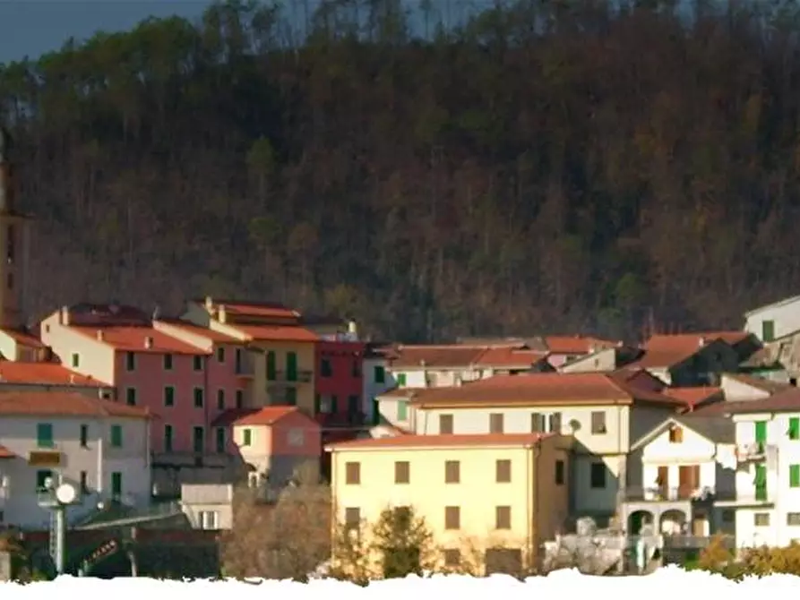 Immagine 1 di Terratetto in vendita  a Carrodano