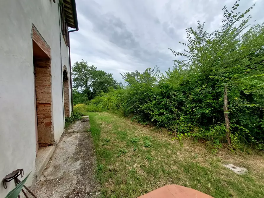 Immagine 40 di Rustico / casale in vendita  a Pontedera