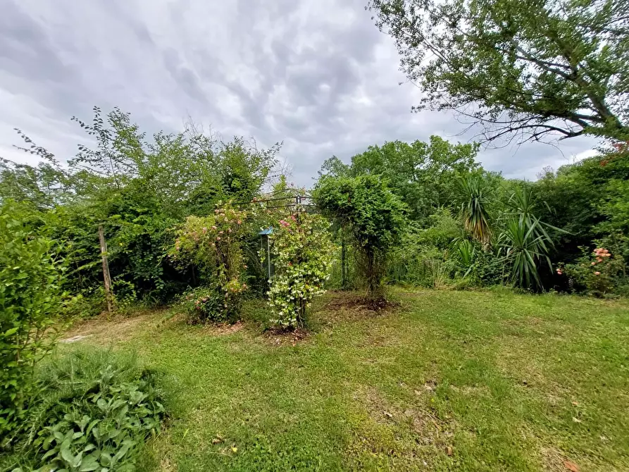 Immagine 41 di Rustico / casale in vendita  a Pontedera