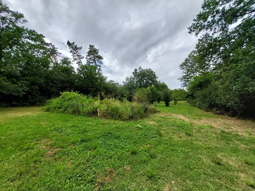 Immagine 44 di Rustico / casale in vendita  a Pontedera