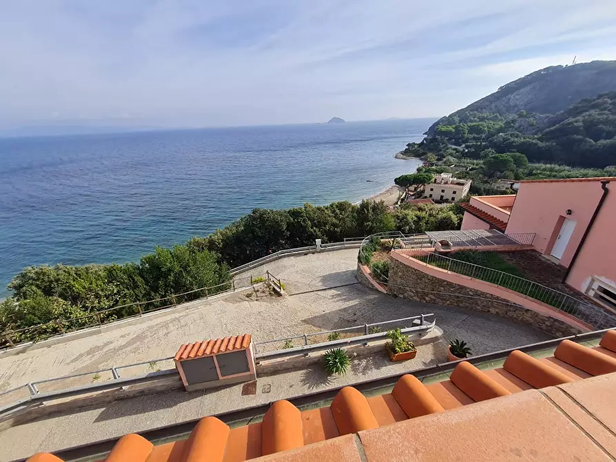 Immagine 11 di Appartamento in vendita  a Rio Marina