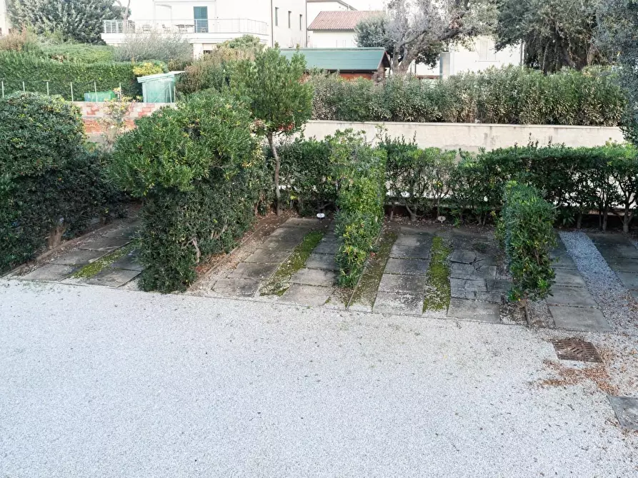 Immagine 23 di Appartamento in affitto  a San Vincenzo