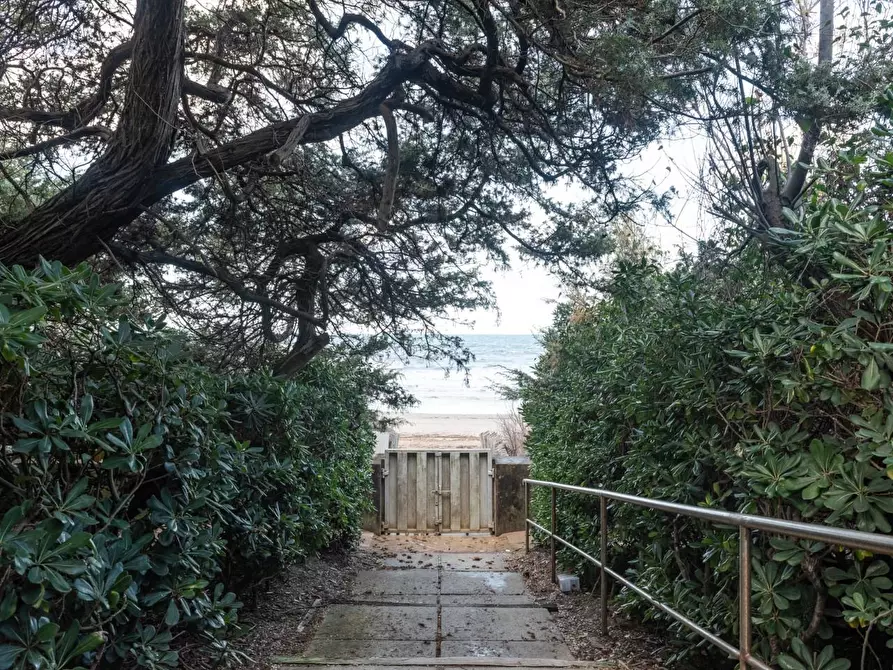 Immagine 25 di Appartamento in affitto  a San Vincenzo