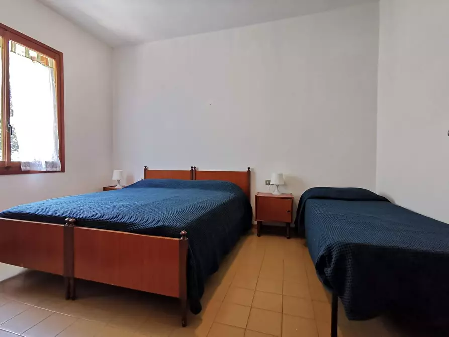 Immagine 9 di Appartamento in affitto  a San Vincenzo