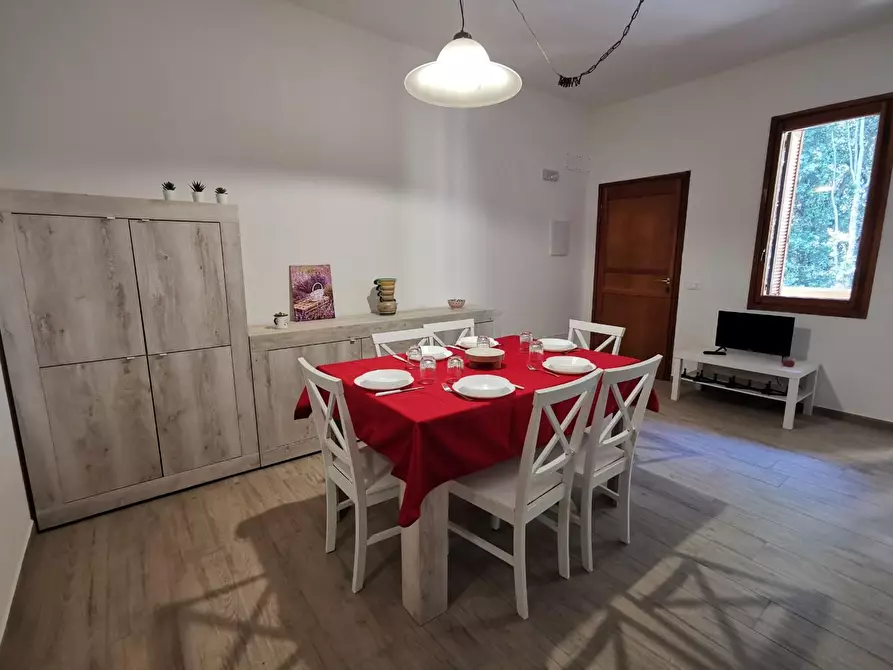 Immagine 7 di Appartamento in affitto  a San Vincenzo