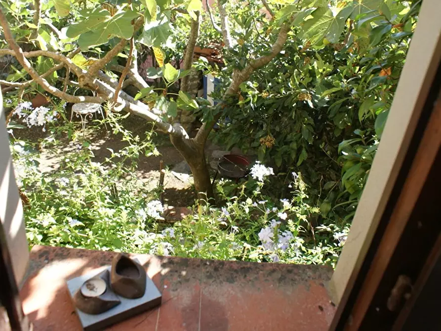 Immagine 13 di Villa in vendita  a Ortonovo