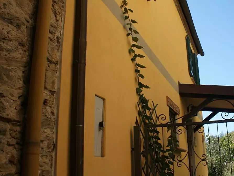 Immagine 32 di Villa in vendita  a Ortonovo