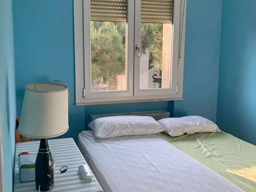 Immagine 6 di Appartamento in affitto  a Rosignano Marittimo