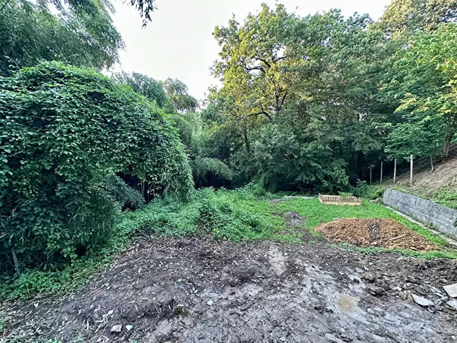 Immagine 19 di Terratetto in vendita  a Lucca