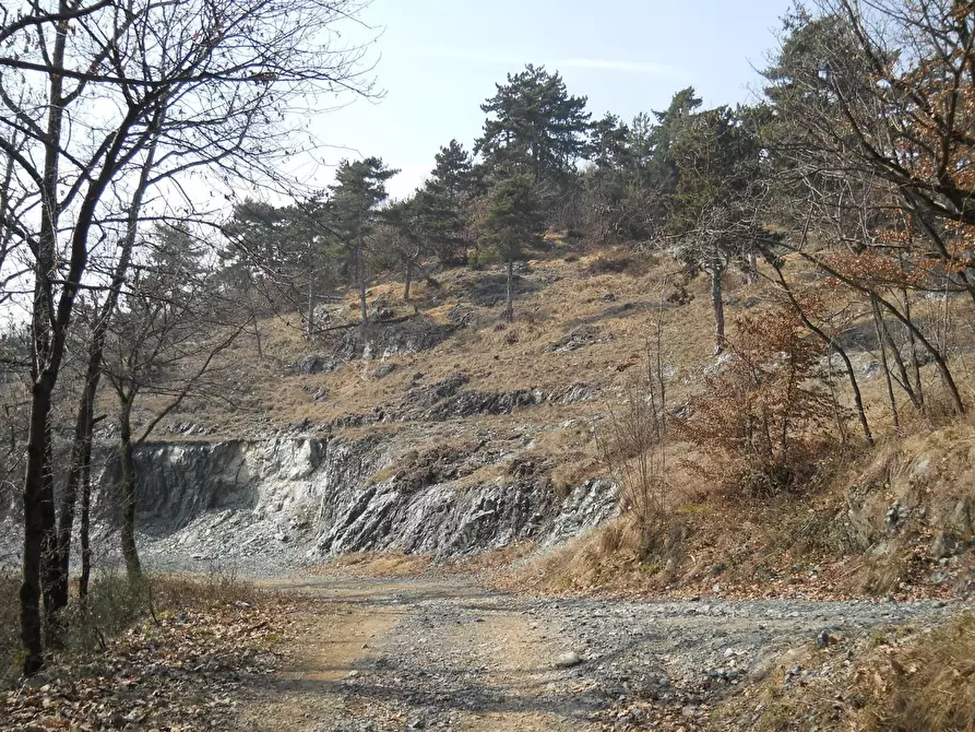 Immagine 6 di Agriturismo in vendita  a Levone