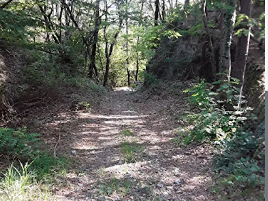 Immagine 4 di Agriturismo in vendita  a Levone