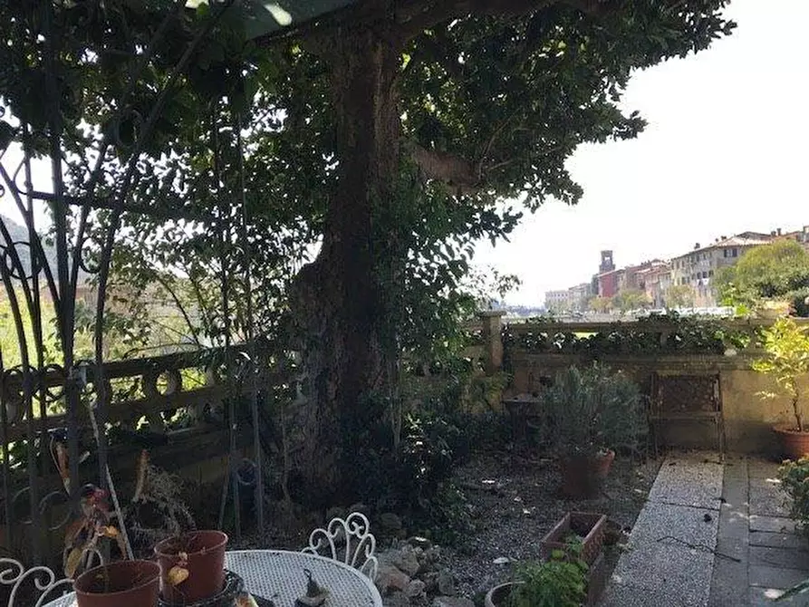 Immagine 23 di Terratetto in vendita  a Pescia