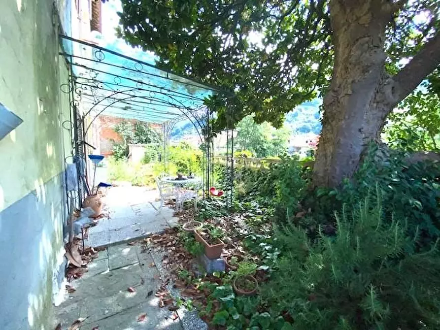 Immagine 8 di Terratetto in vendita  a Pescia