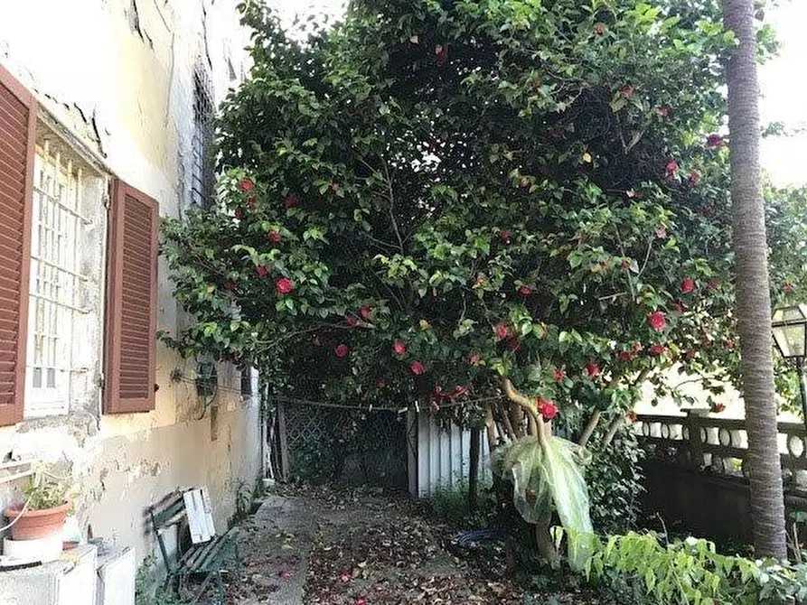 Immagine 26 di Terratetto in vendita  a Pescia