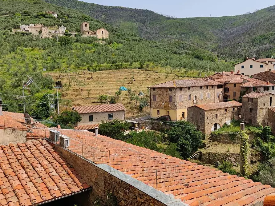 Immagine 47 di Casa colonica in vendita  a Calci