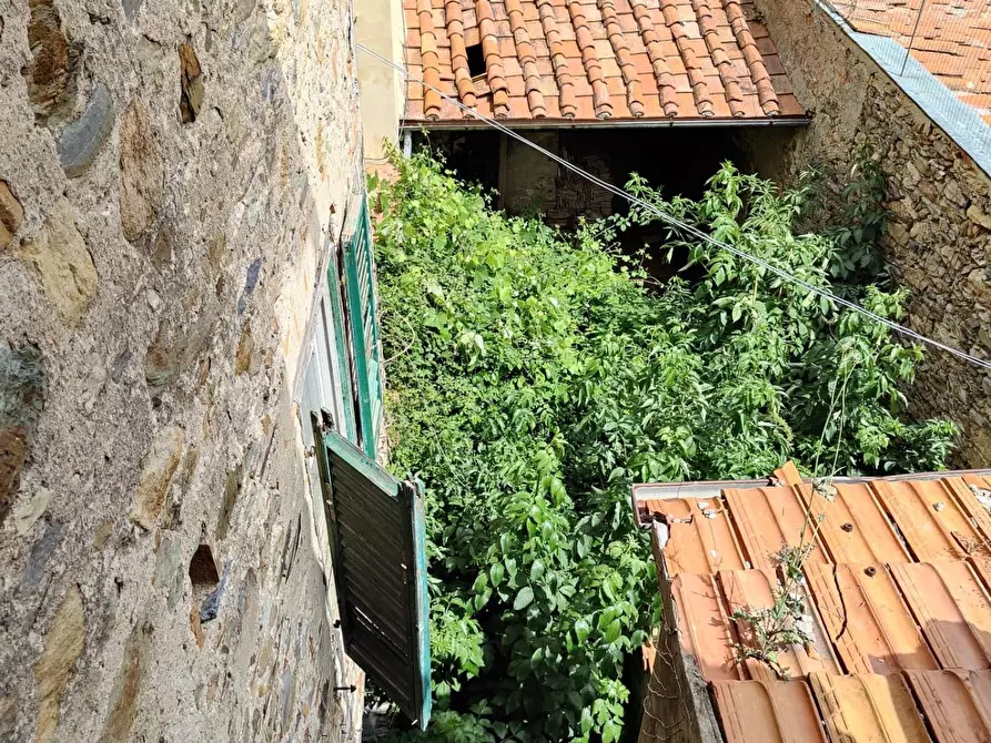 Immagine 29 di Casa colonica in vendita  a Calci