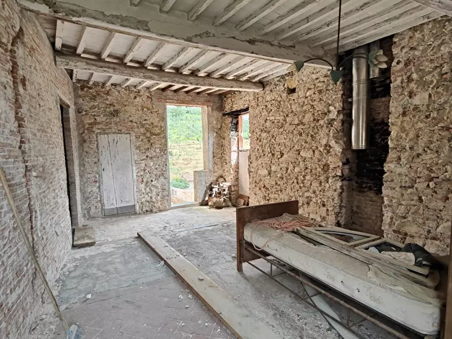 Immagine 24 di Casa colonica in vendita  a Calci