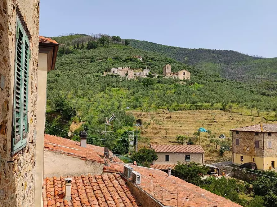 Immagine 60 di Casa colonica in vendita  a Calci