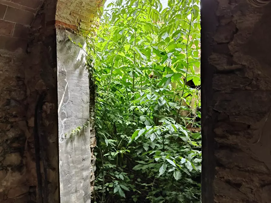 Immagine 62 di Casa colonica in vendita  a Calci