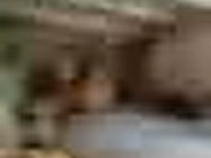 Immagine 57 di Casa colonica in vendita  a Calci