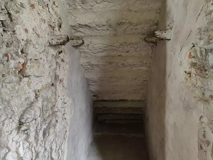 Immagine 21 di Casa colonica in vendita  a Calci