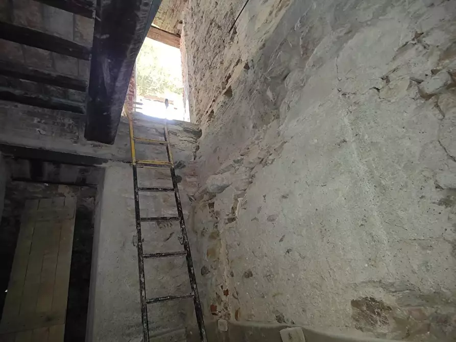Immagine 43 di Casa colonica in vendita  a Calci