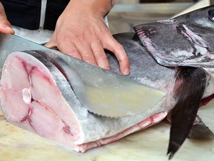 Immagine 11 di Bar / Ristorante in vendita  a Venaria Reale