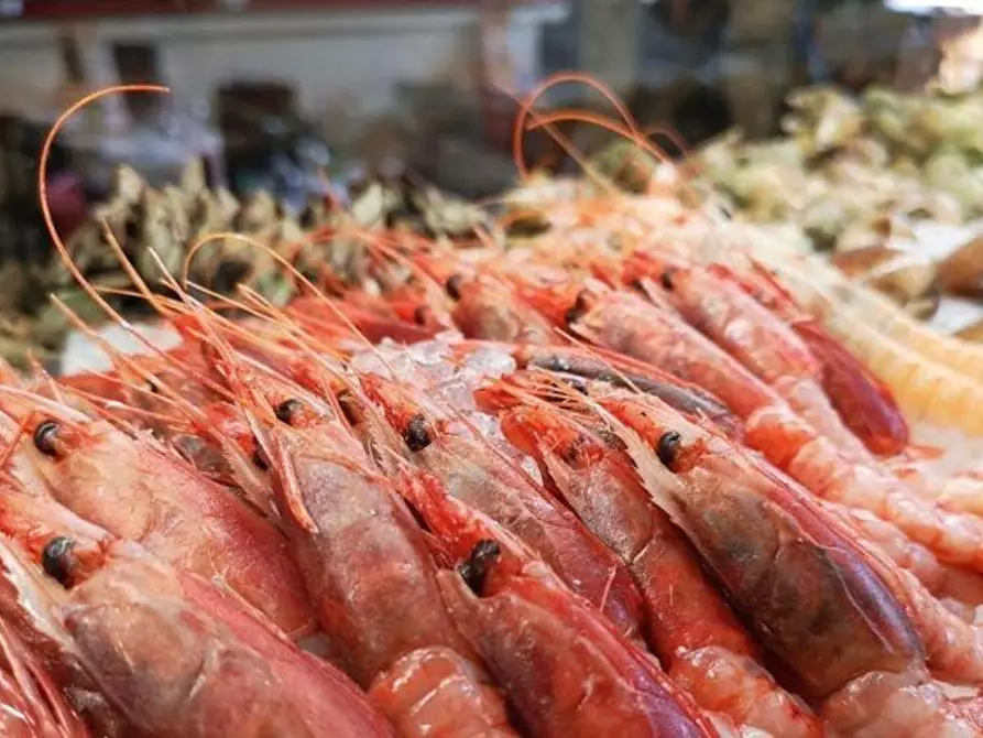 Immagine 10 di Bar / Ristorante in vendita  a Venaria Reale